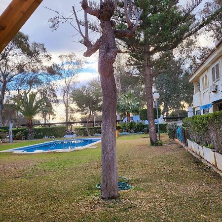 Dudi'S Peppers Apartment Malaga Ngoại thất bức ảnh