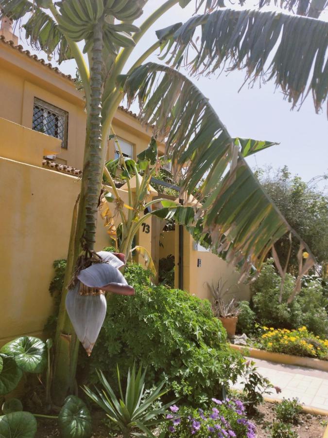 Dudi'S Peppers Apartment Malaga Ngoại thất bức ảnh