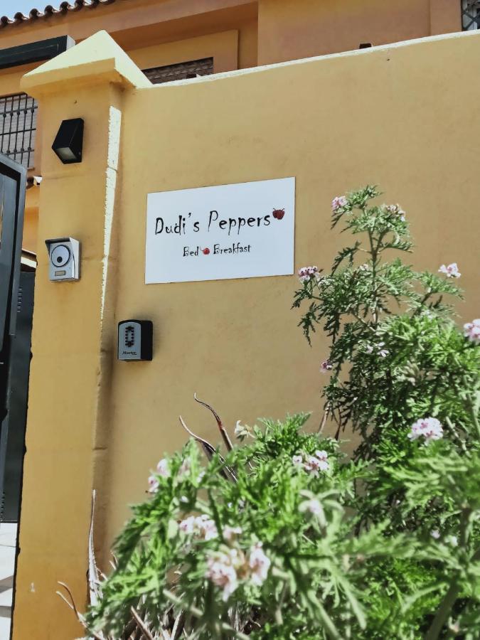 Dudi'S Peppers Apartment Malaga Ngoại thất bức ảnh